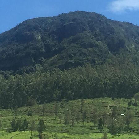 Perera Homestay Nuwara Eliya Kültér fotó