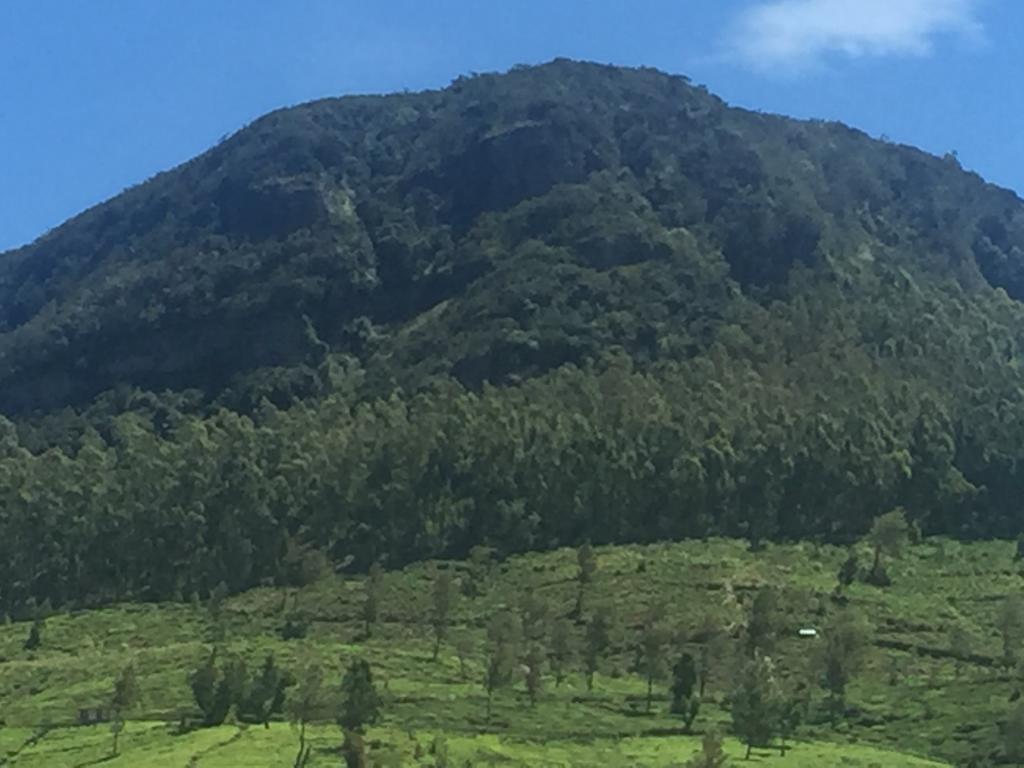 Perera Homestay Nuwara Eliya Kültér fotó