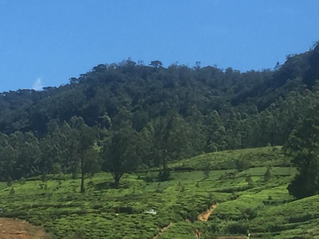 Perera Homestay Nuwara Eliya Kültér fotó